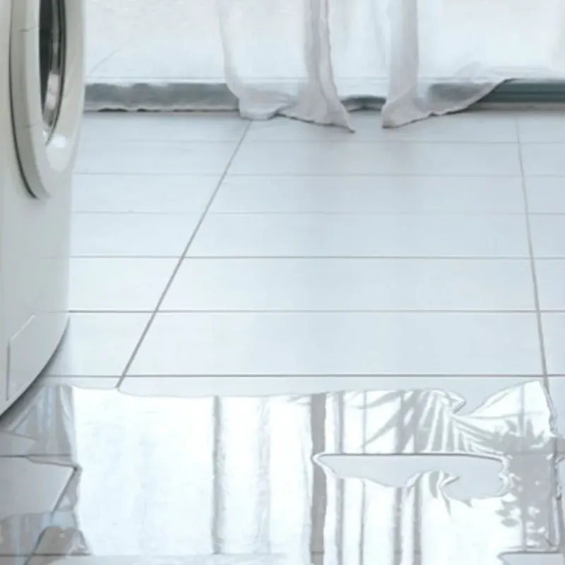 Appliance Leak Cleanup in Danville, IL