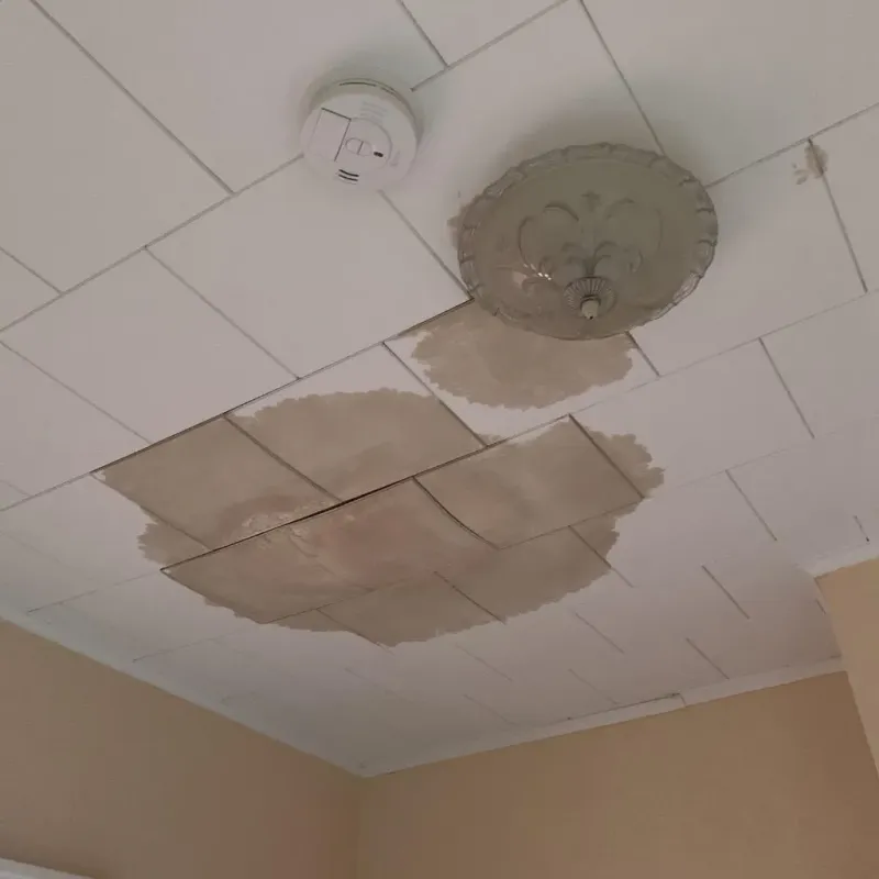Ceiling Water Damage Repair in Danville, IL
