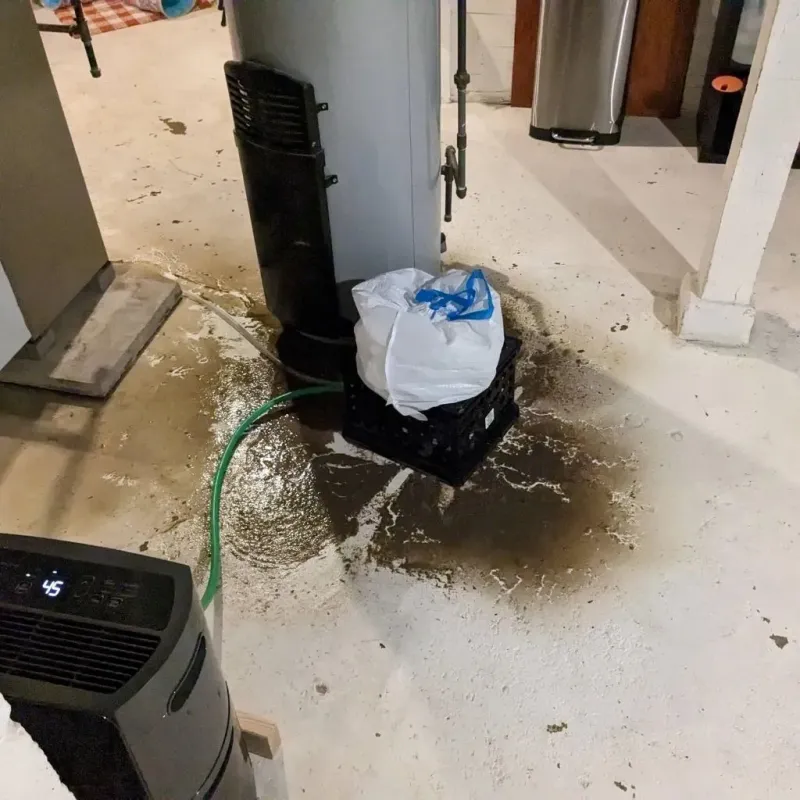 Sewage Backup Cleanup Service in Danville, IL